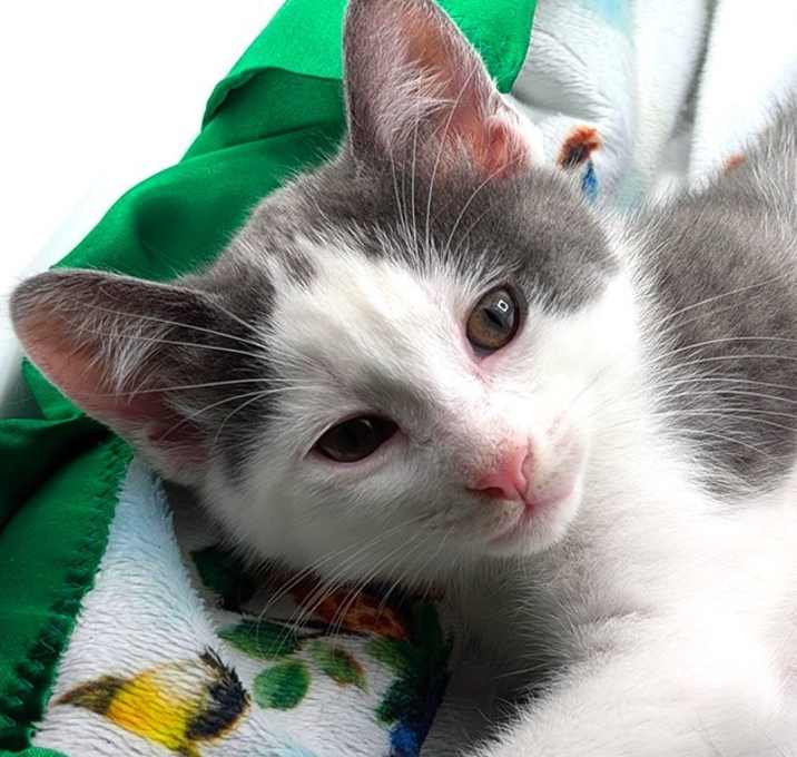 Photo of Carl