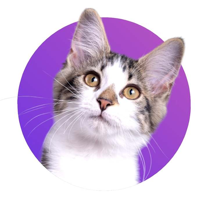 Photo of Kitty Pryde