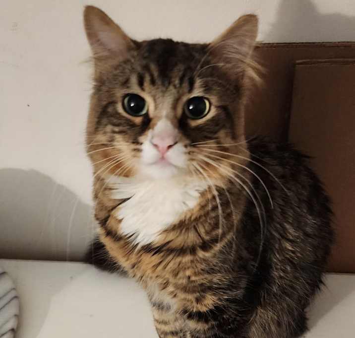 Photo of Floof