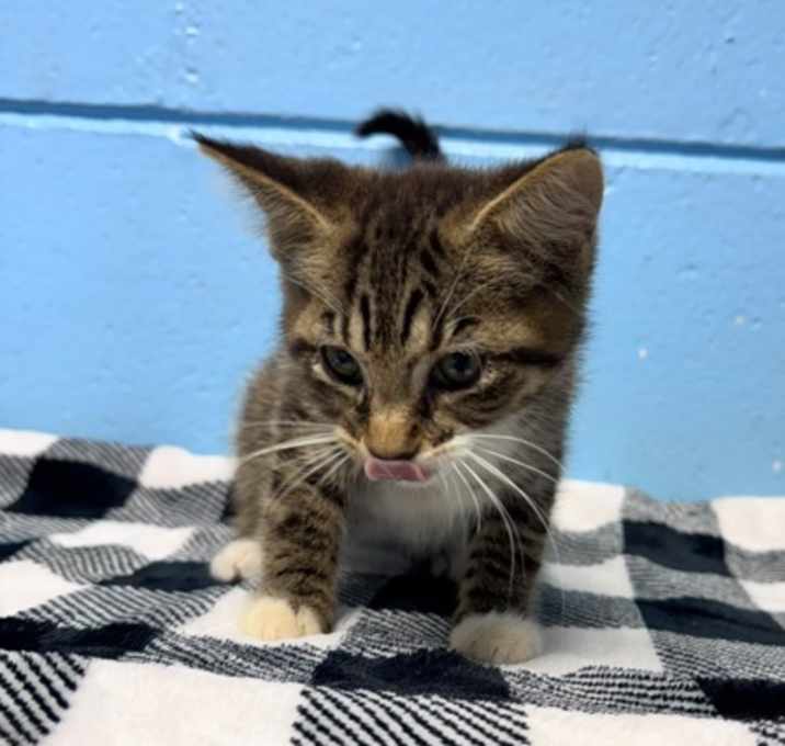 Photo of Sally
