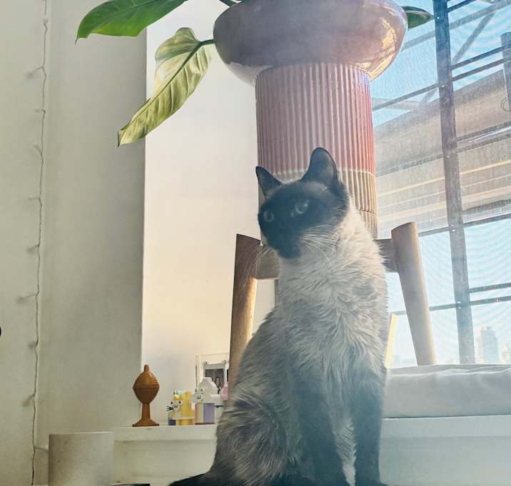 Photo of Zuzu