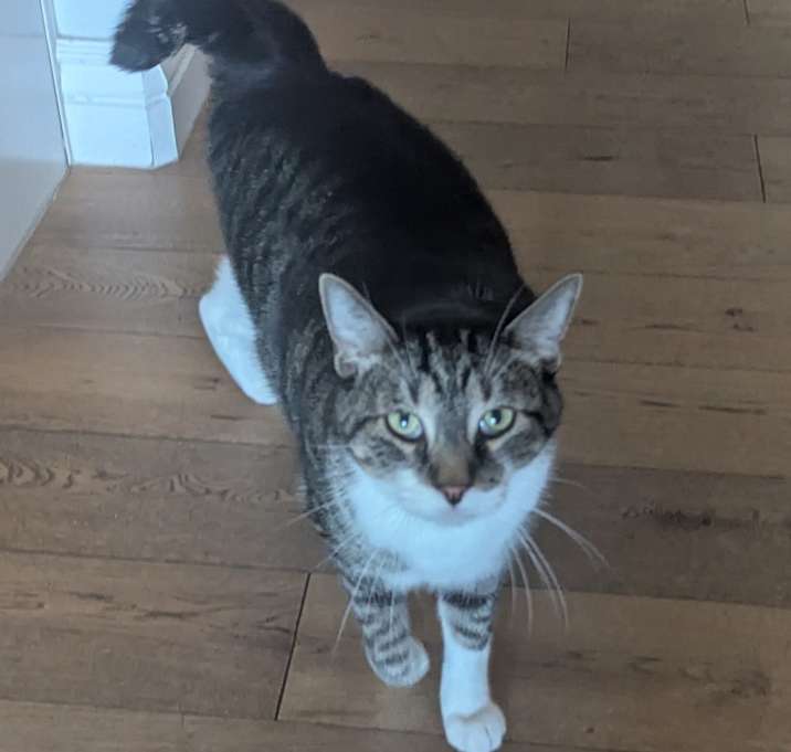 Photo of Tycho