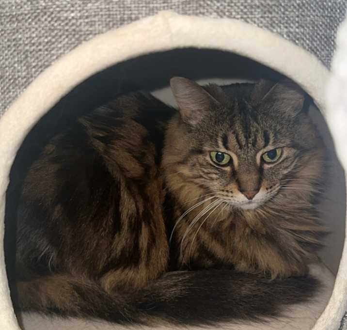 Photo of Roxy