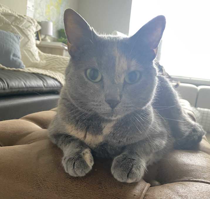 Photo of Hazel