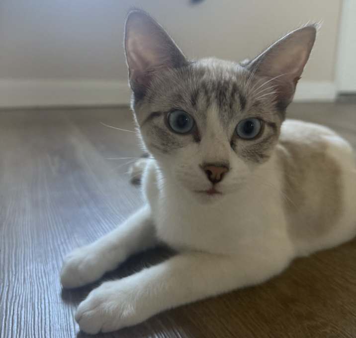 Photo of Ody