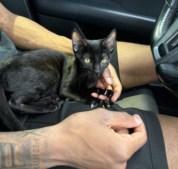 Photo of Luna