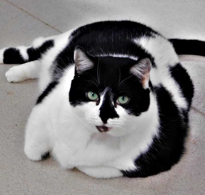 Photo of Bertha