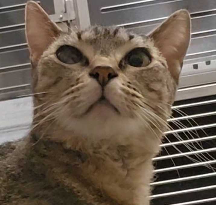 Photo of Butterball