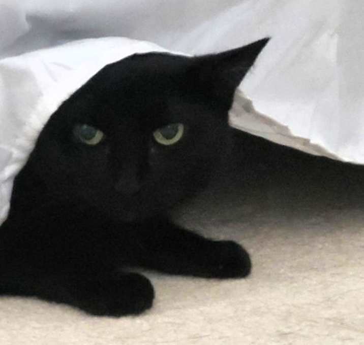 Photo of Nora