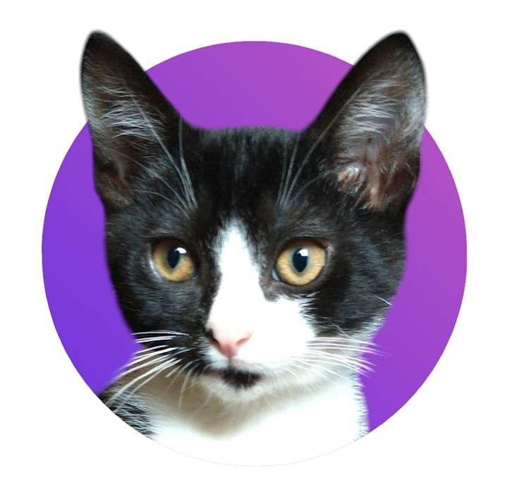 Photo of Pavi