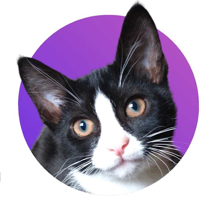 Photo of Bill