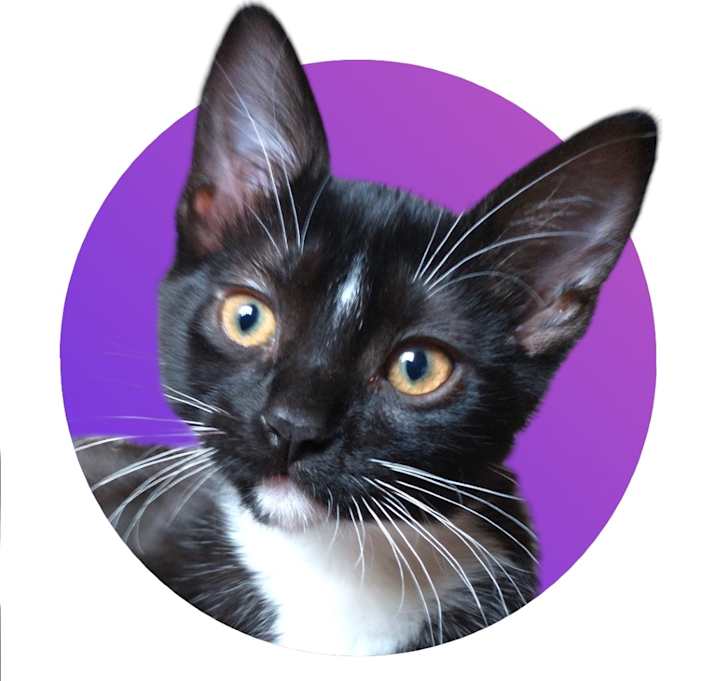 Photo of Arwin