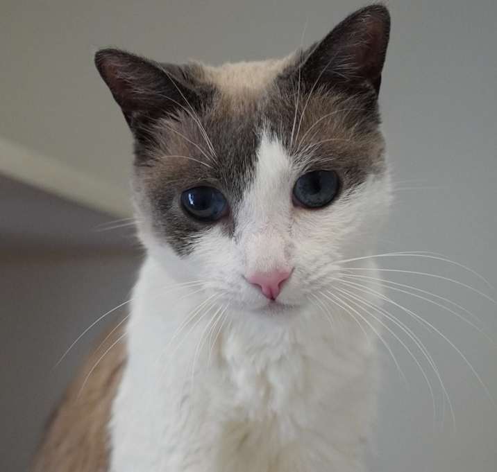 Photo of Princess