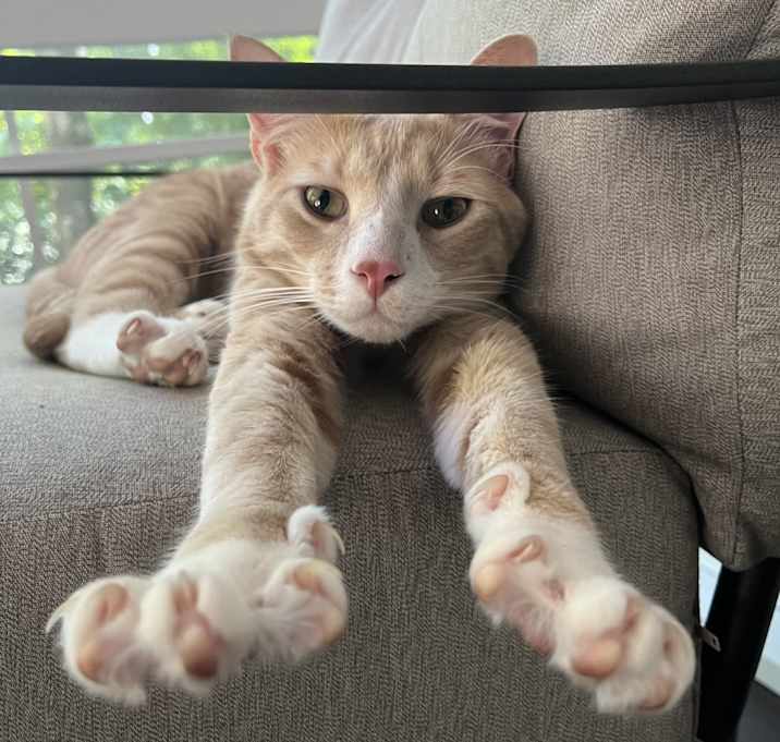 Photo of Tex