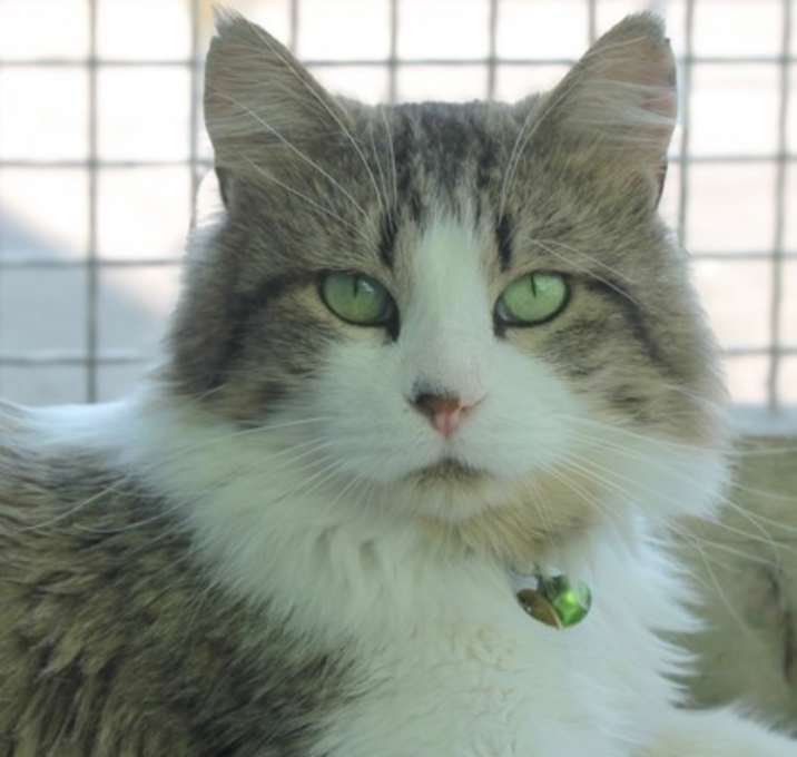 Photo of Jiji