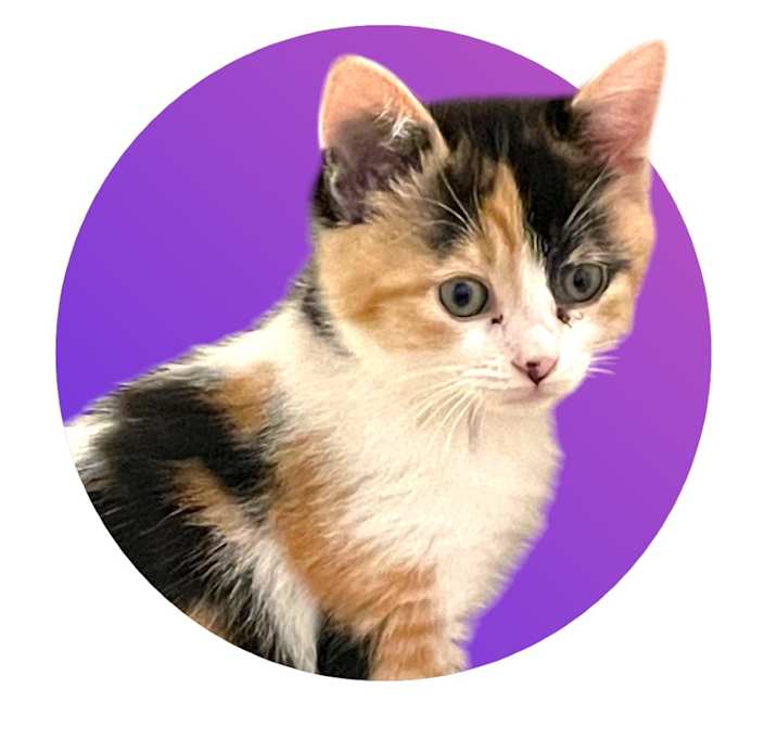 Photo of Candy