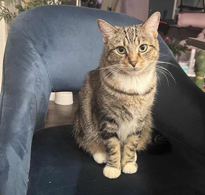 Photo of Ash