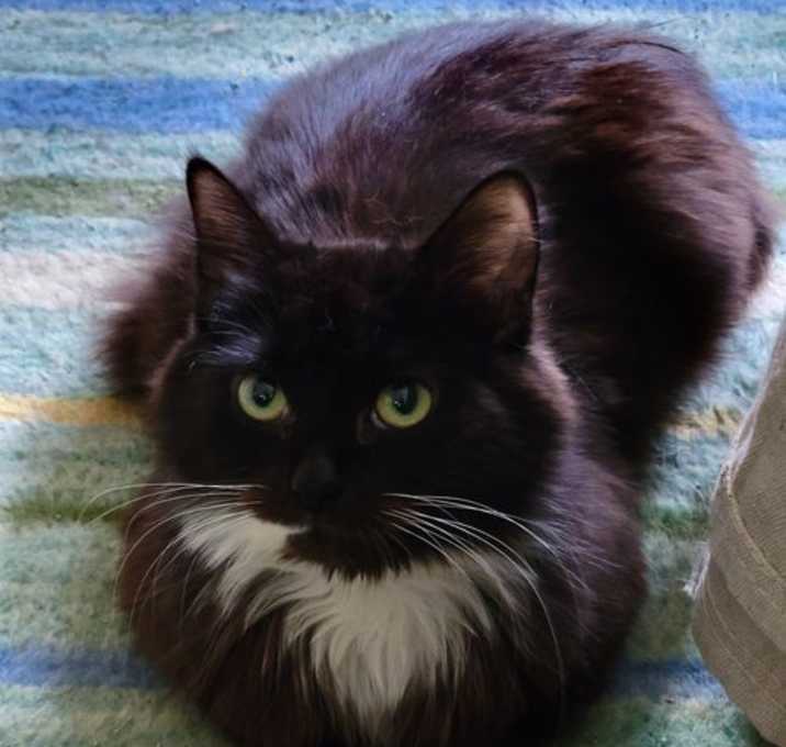 Photo of Boba