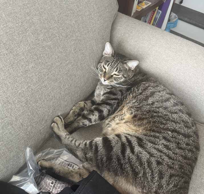 Photo of Bob