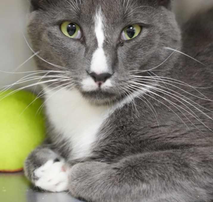 Photo of Marlowe 58671