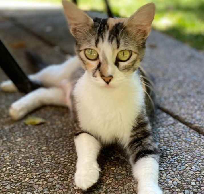 Photo of Millie