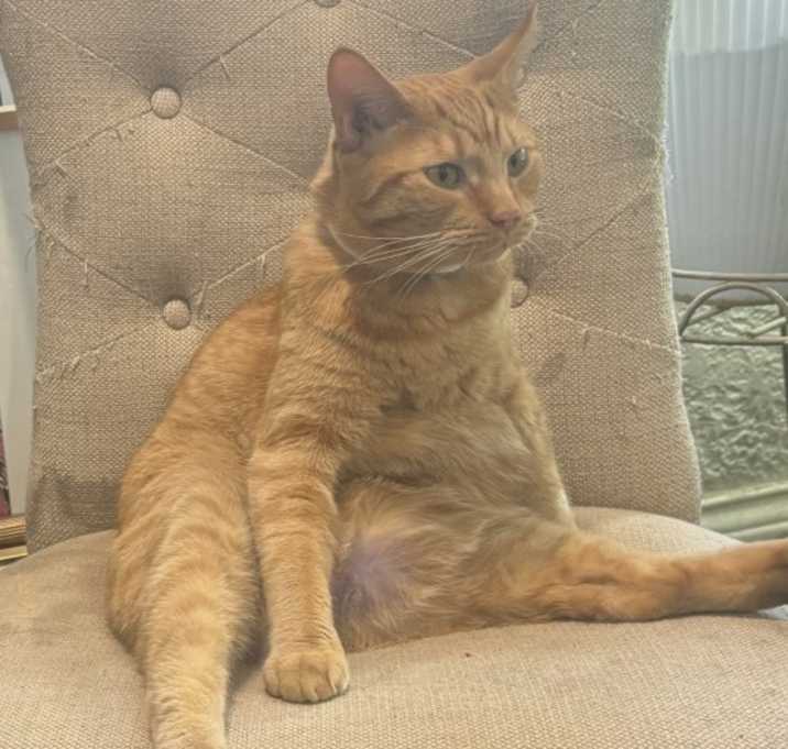 Photo of Neo