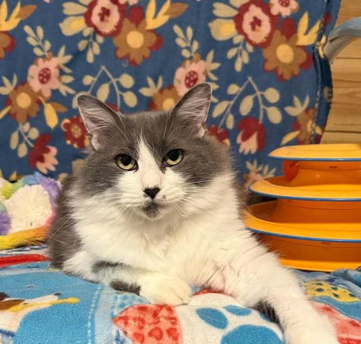 Photo of Jackie