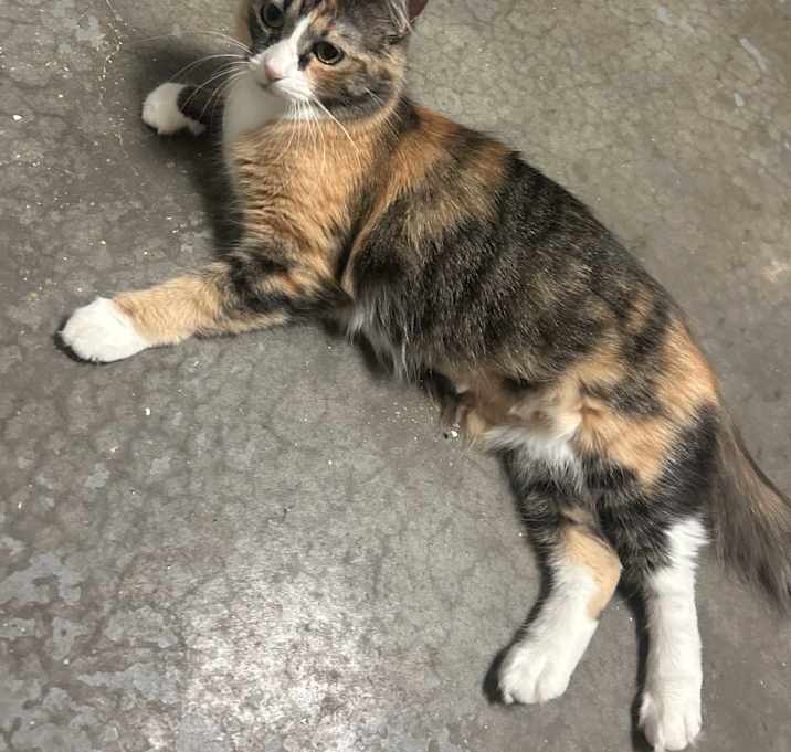 Photo of Miss Rachel