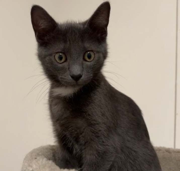 Photo of Artemis