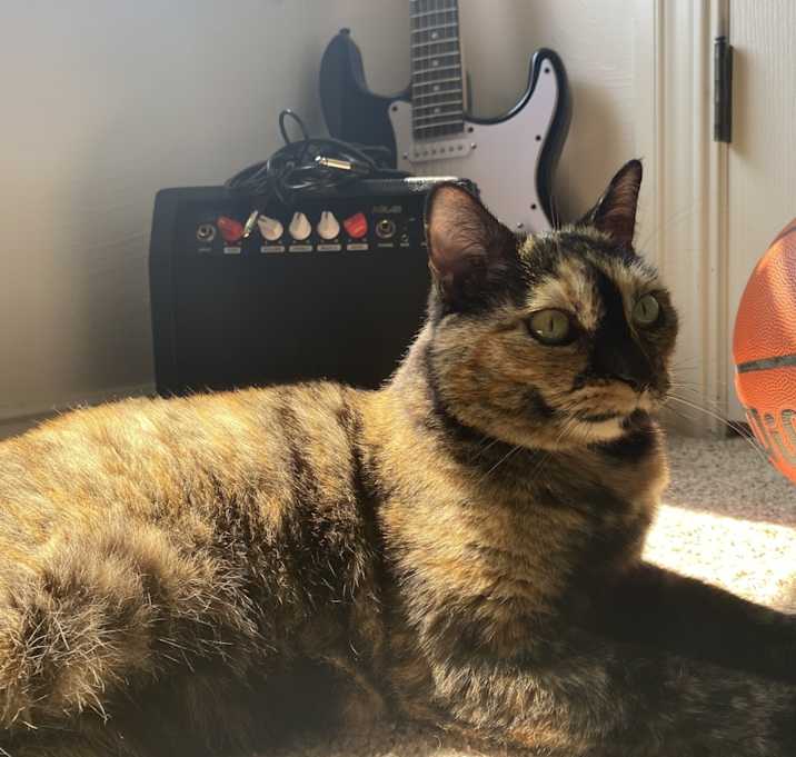 Photo of Pixie