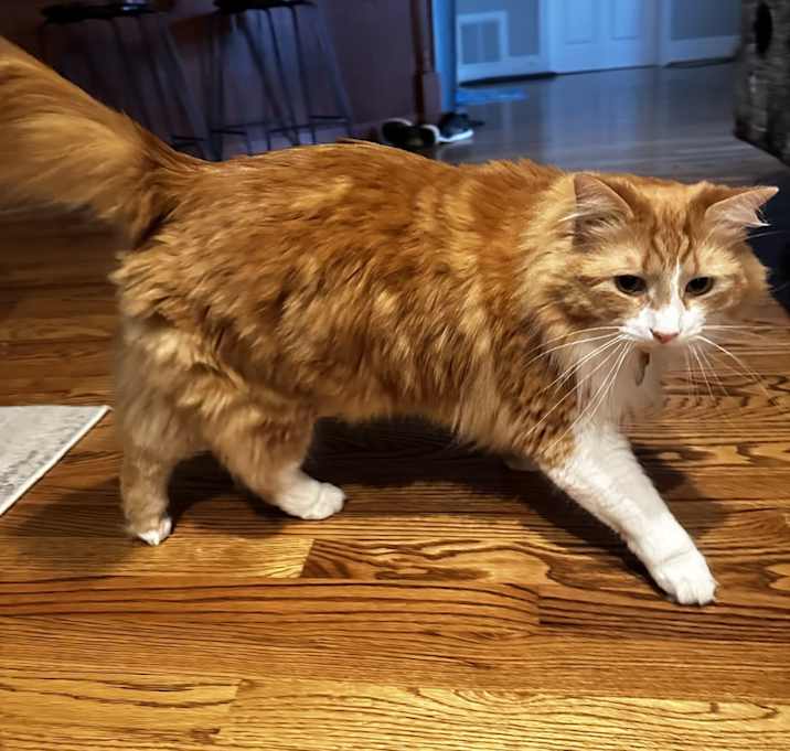 Photo of Tormund