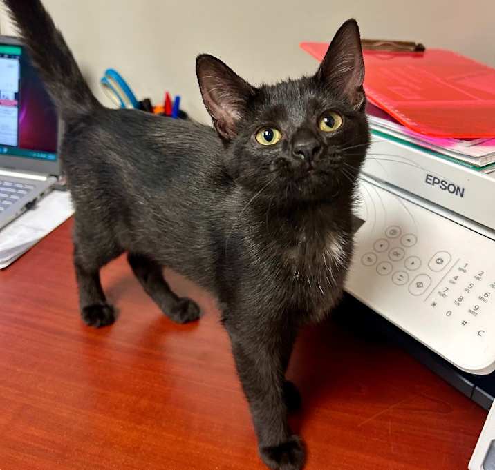 Photo of Mystique