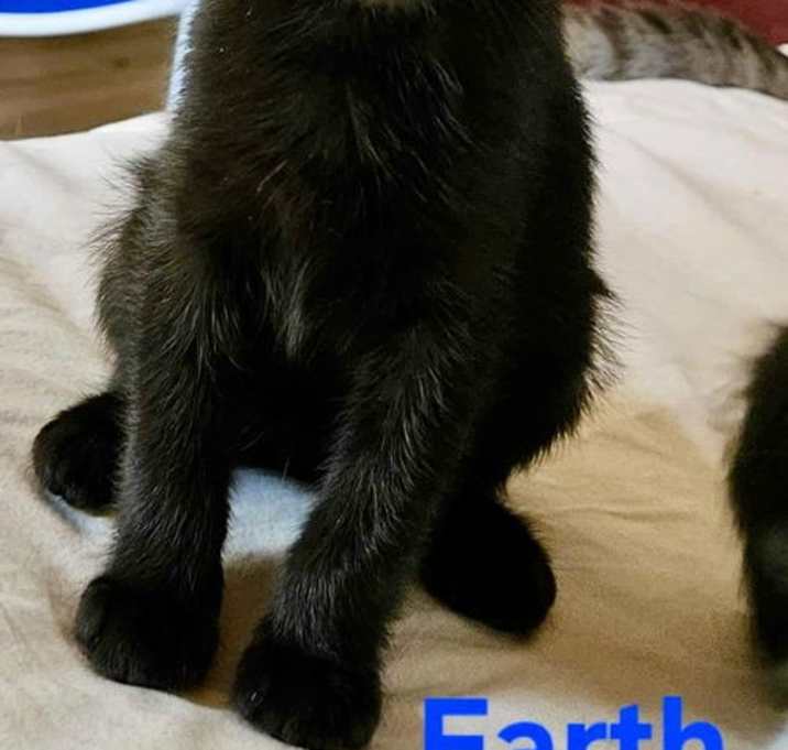 Photo of Earth: Not at shelter (Kendra)