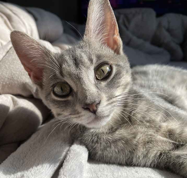 Photo of Zéla