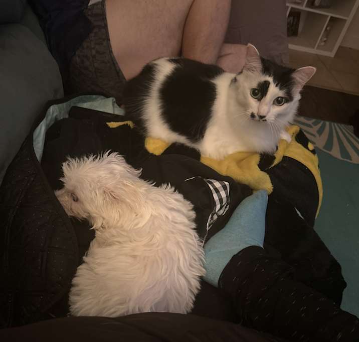 Photo of Chloe