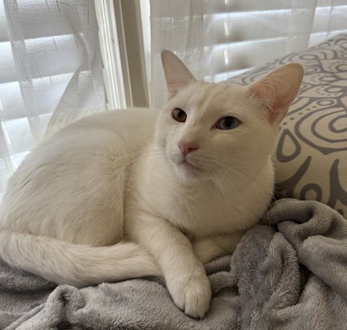 Photo of Taz