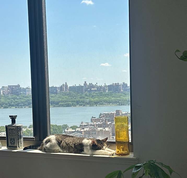 Photo of Max