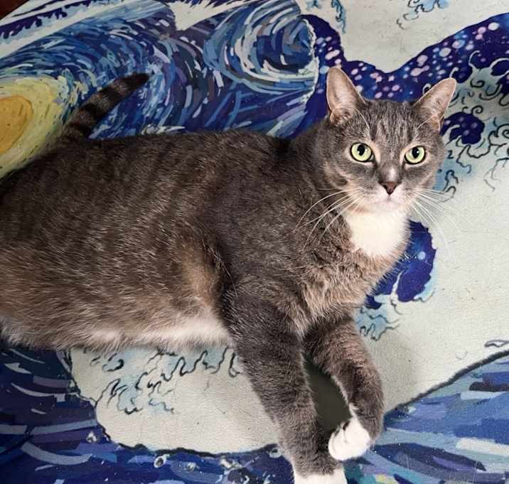 Photo of Sam