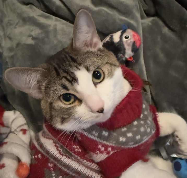 Photo of Larry