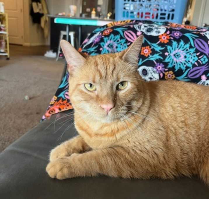 Photo of Finn