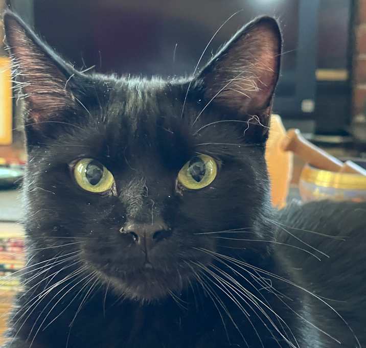 Photo of Lil Dude & Poppy
