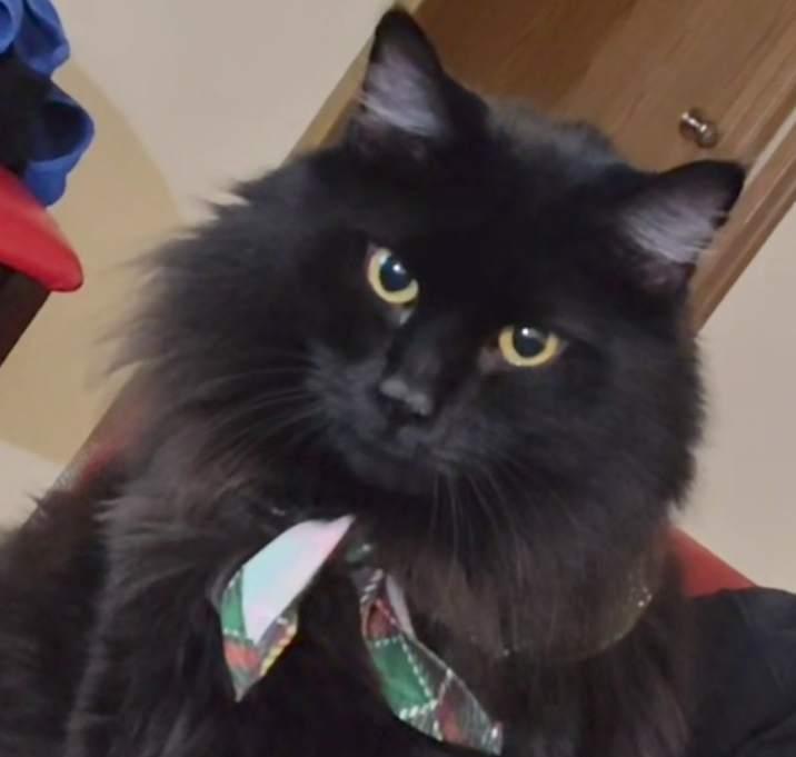Photo of Todd
