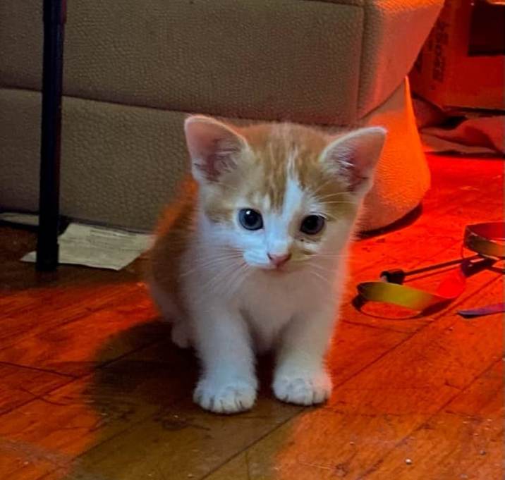 Photo of Amelia