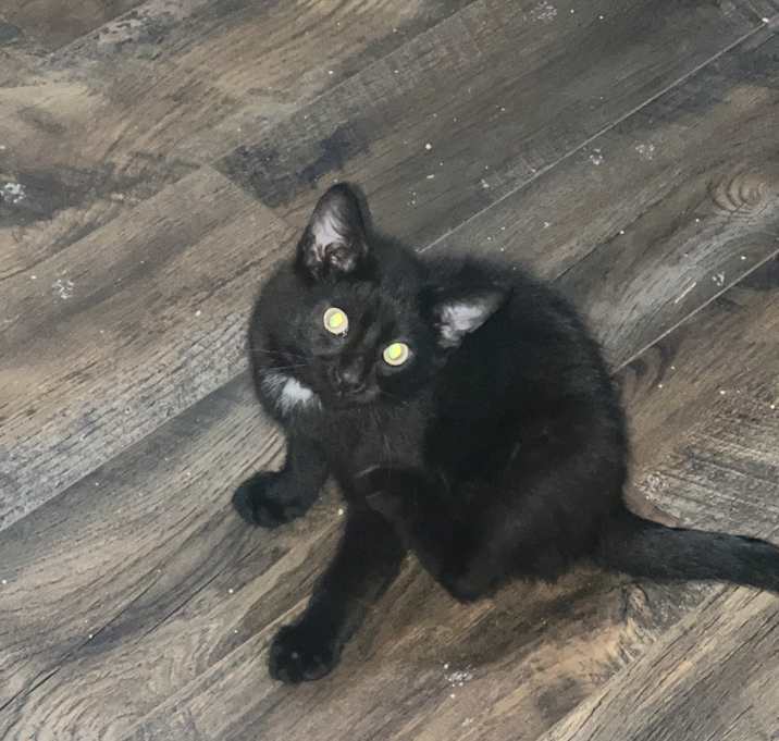 Photo of Leo