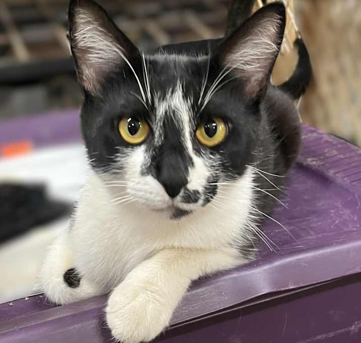 Photo of Tabitha