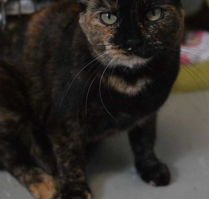 Photo of Rosie