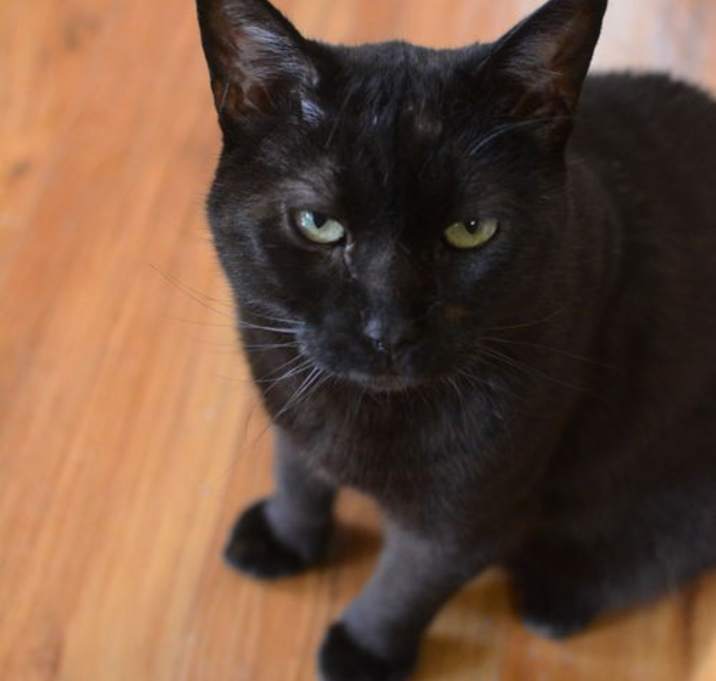 Photo of Miller