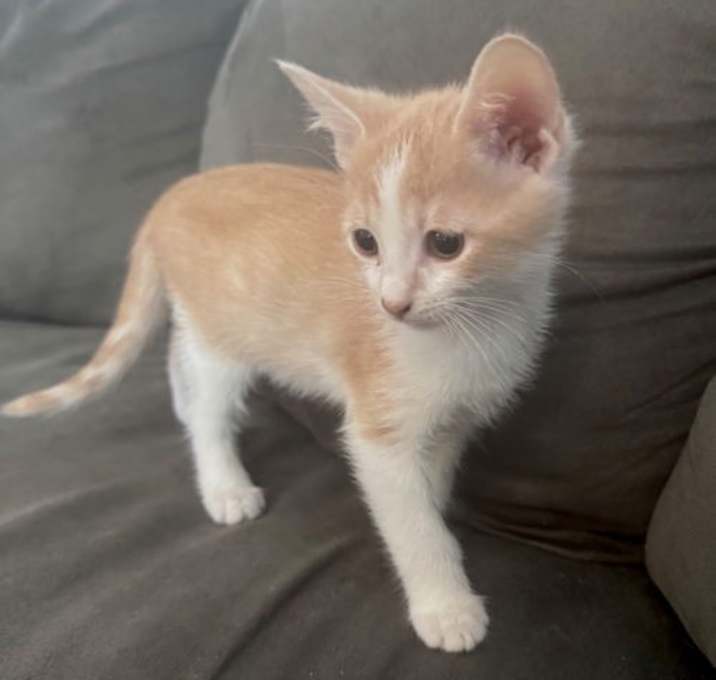 Photo of Ivan