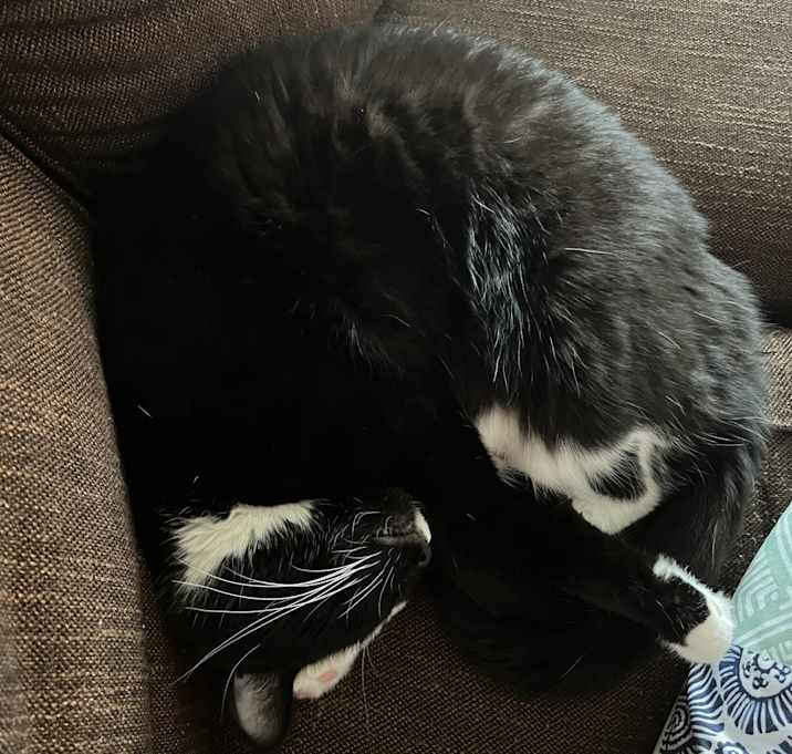 Photo of Crispy