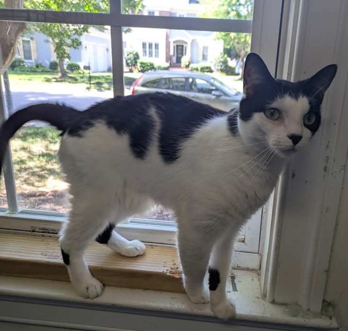 Photo of Charley